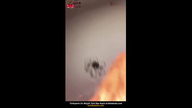 Hellodespina İfşa — File Çorapla Dildo Emme Sahnesi